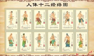 正确的十二时辰对照表