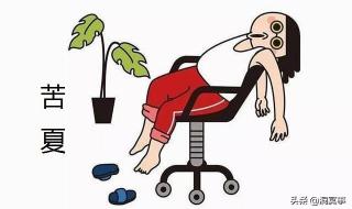 夏至三庚入伏怎么算的