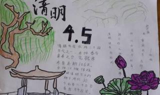 关于清明节的手抄报图片