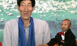 中国医生的收入高不高