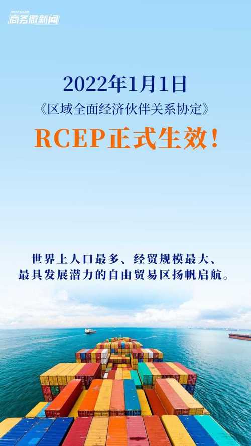 区域经济一体化（RCEP深化）（区域经济一体化的机遇与挑战）