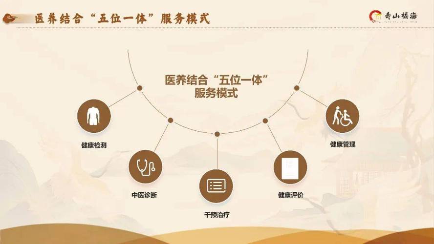 医养结合（养老医疗服务）（医养结合养老服务模式）