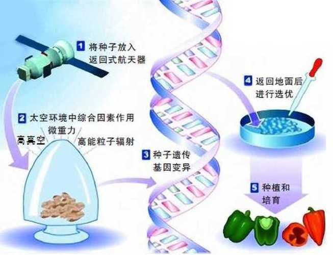 基因编辑保险（临床应用保障）（基因编辑危险在何处）
