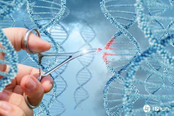 生物科技突破（基因编辑应用）（生物基因科学）