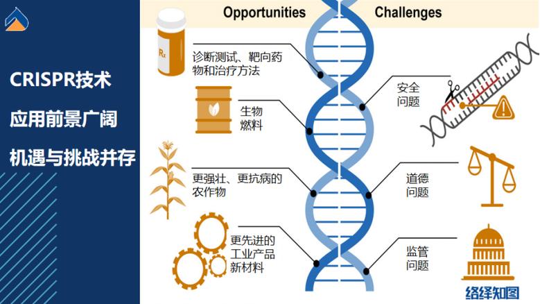 生物科技突破（基因编辑应用）（生物基因科学）
