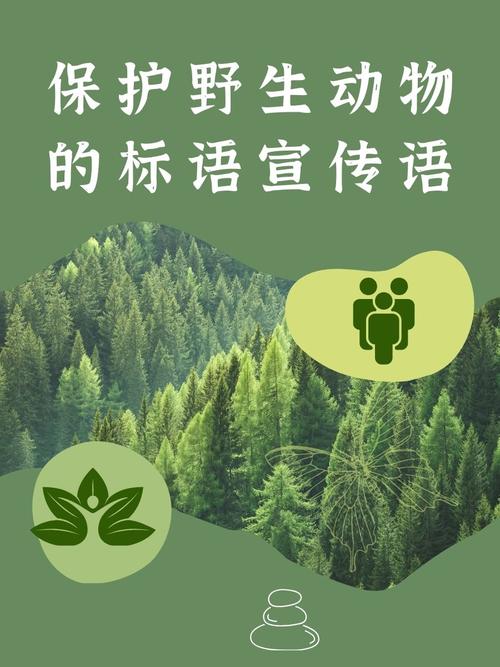 野生动物保护（野生动物保护宣传标语）