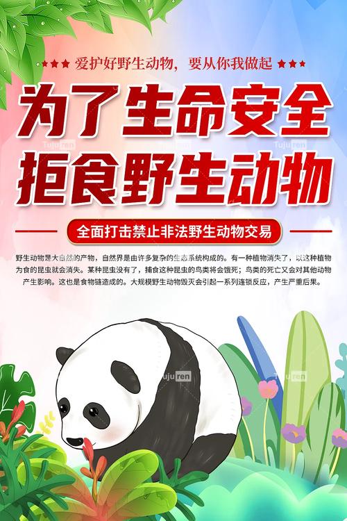 野生动物保护（野生动物保护宣传标语）