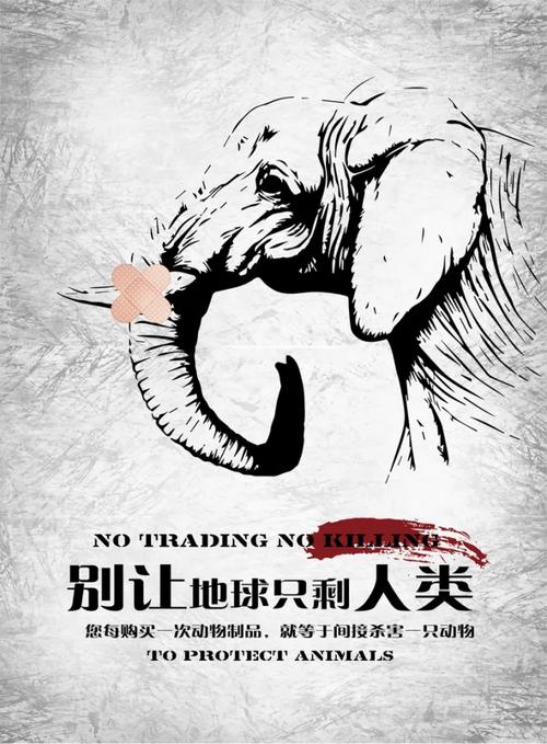 野生动物保护（野生动物保护宣传标语）