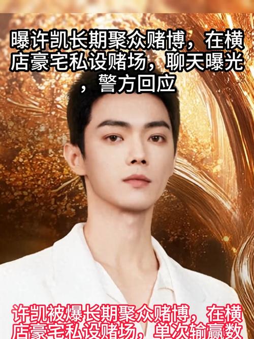 许凯聚众赌博调查（许凯聚众赌博调查结果）