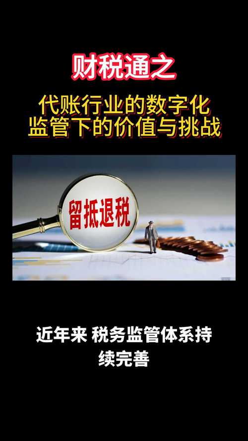数字服务法案（平台经济监管）（数字化服务平台的投资）