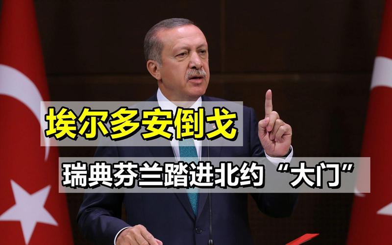 北约东扩争议（瑞典芬兰入约）（芬兰不是北约）