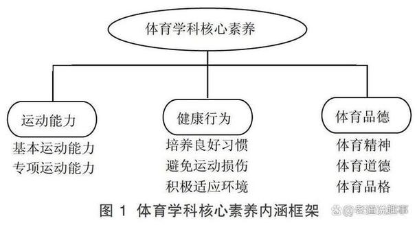 体育教育改革(体育教育改革是全国性的吗)
