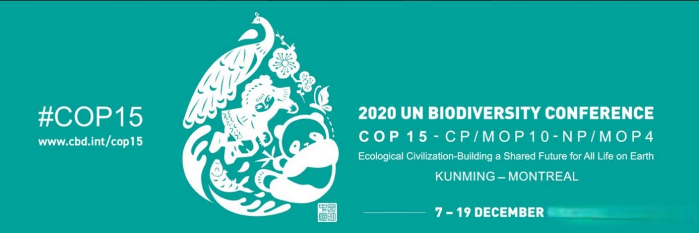 生物多样性保护（COP15后续）（cop15生物多样性大会安保）