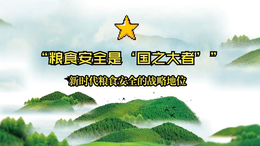 乡村振兴战略（粮食保险）（乡村振兴 粮食安全）