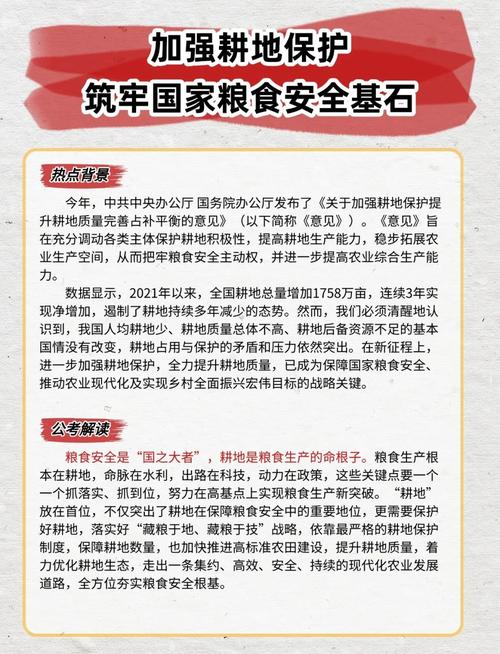 乡村振兴战略（粮食保险）（乡村振兴 粮食安全）