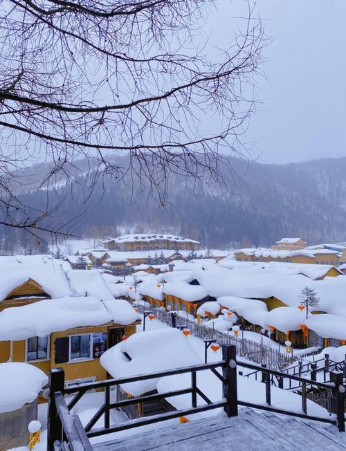 雪乡旅游乱象(旅游 雪乡)