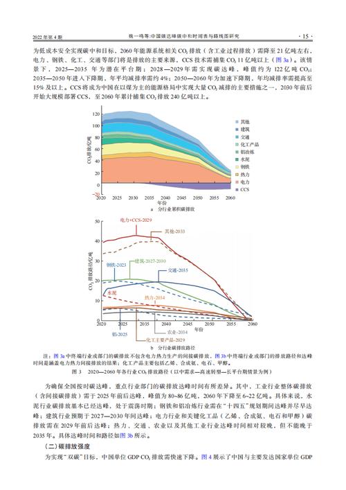 碳中和目标（2060路线图）（2060年碳中和目标）