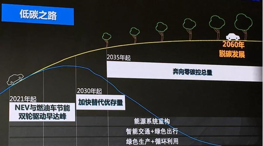 碳中和目标（2060路线图）（2060年碳中和目标）