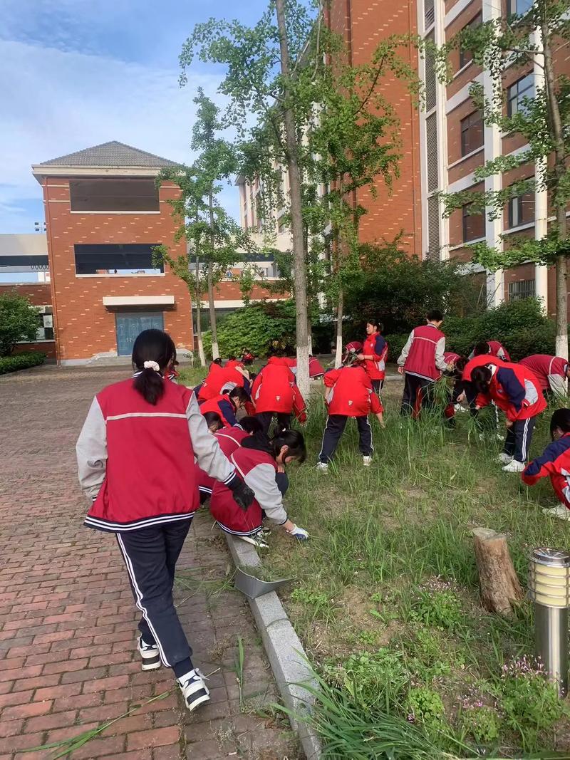 劳动教育实践(劳动教育实践图片)