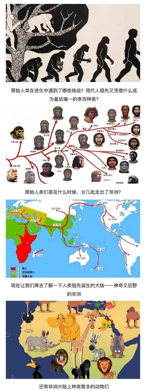 人类迁徙史(人类迁徙史研究)