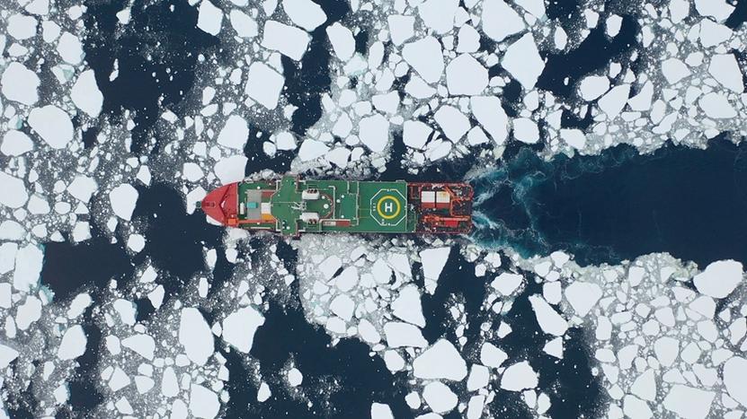 极地生态(极地生态潜标)