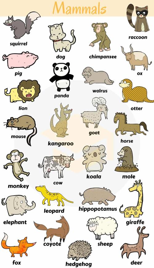 动物行为学(动物行为学英语怎么说)