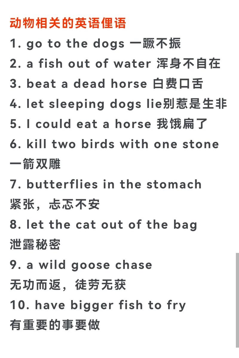 动物行为学(动物行为学英语怎么说)