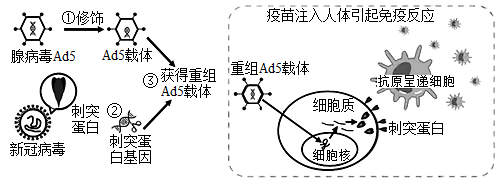 疫苗原理(灭活疫苗原理)