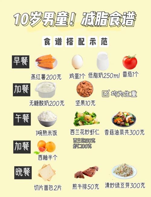 饮食营养(12岁女孩饮食营养)