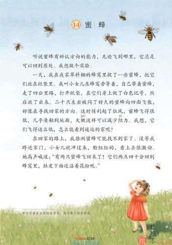 蜜蜂的舞蹈语言(蜜蜂的舞蹈语言阅读答案五年级)