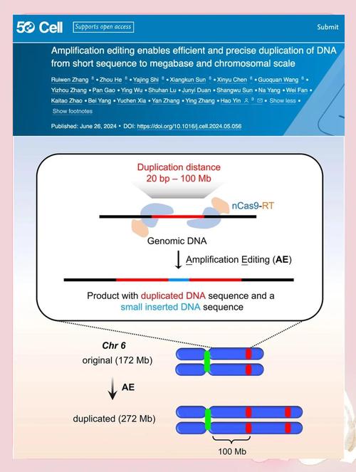 基因编辑(基因编辑对治疗真红最新进展)