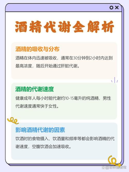 酒精代谢(酒精代谢一般需要多长时间)