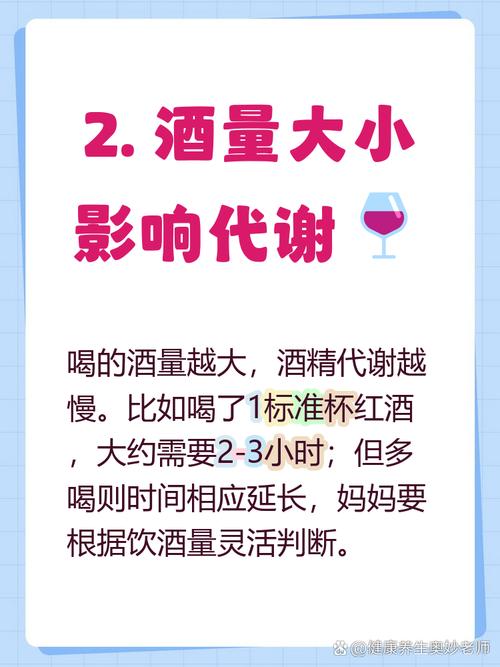 酒精代谢(酒精代谢一般需要多长时间)