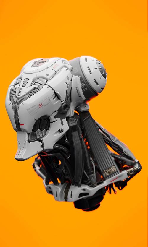 机器人技术(机器人技术哪个国家最先进)