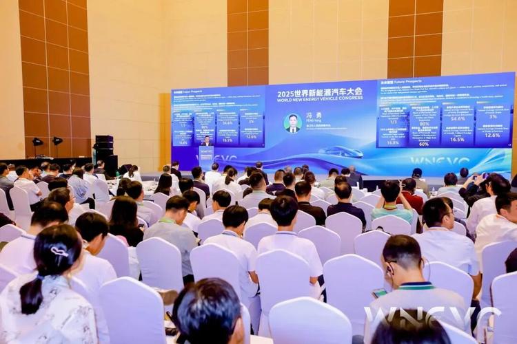 新能源发展(新能源发展论坛)