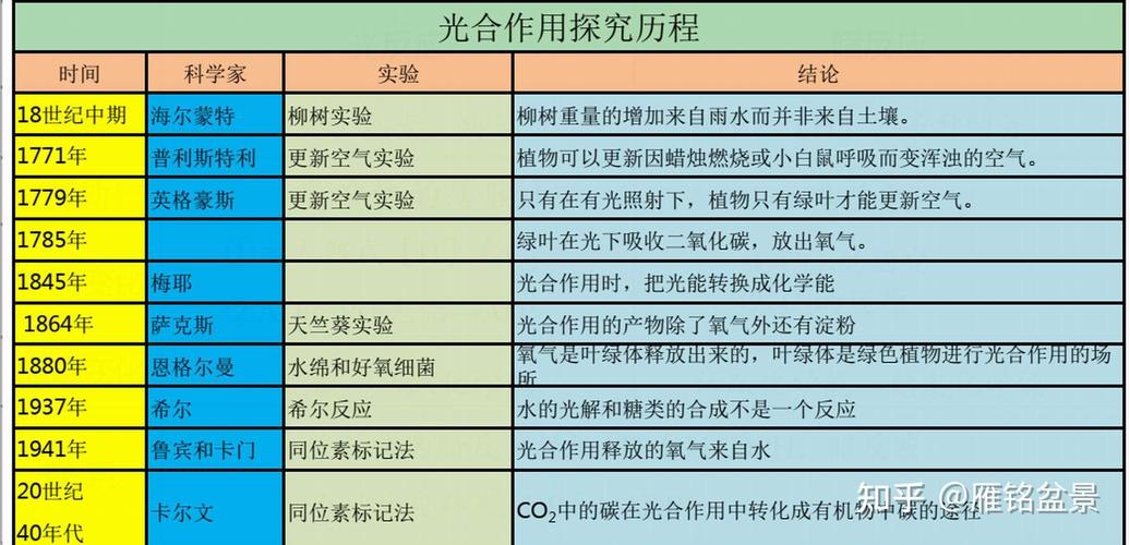 植物光合作用(植物光合作用公式)