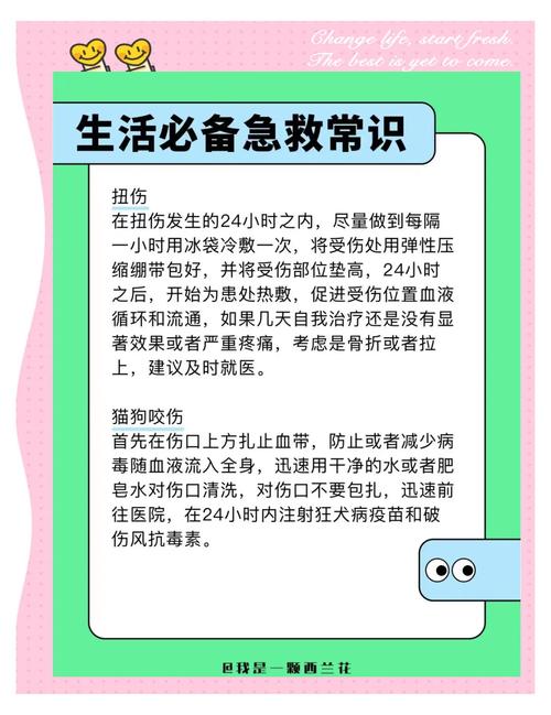 急救常识(急救常识和急救方法)
