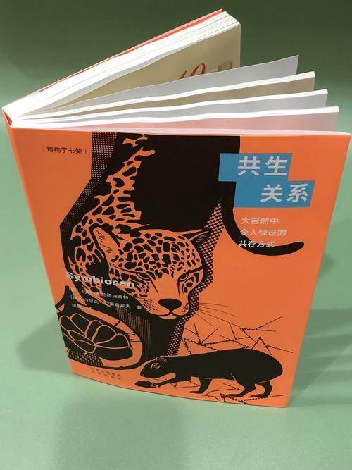 共生关系(共生关系可以分开吗)