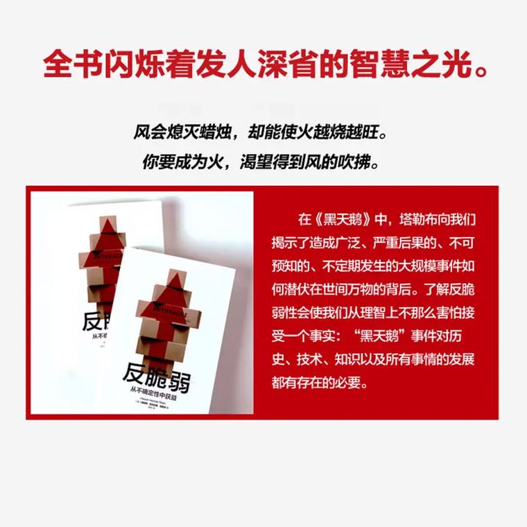 如何培养反脆弱性在不确定中获益(如何提升反脆弱能力)