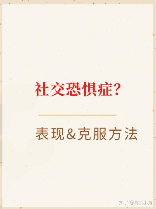 社交恐惧破解从心理建设到行为演练(社交恐惧对策)